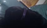 post-39886-0-89724800-1387887680_thumb.jpg