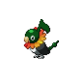 Chatot 2.png