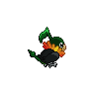 Chatot B.png