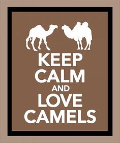 d1ce430386fc93883168c726a6955b6e--bactrian-camel-keep-calm-and-love.jpg.9381b3d82cda13fc8ea30607cb826d1c.jpg