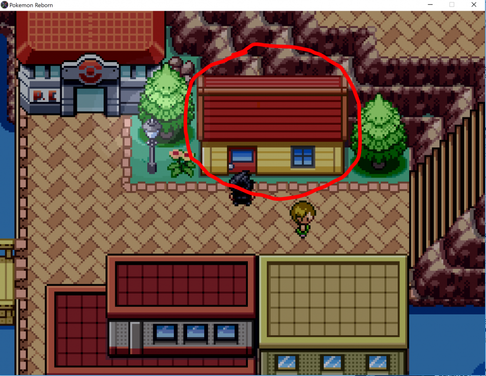 pokemon error 2.PNG