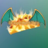 dragoniteborntacoz