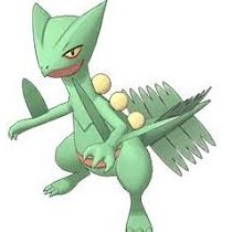 IsaacTheSceptile