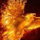 PhoenixFireX17