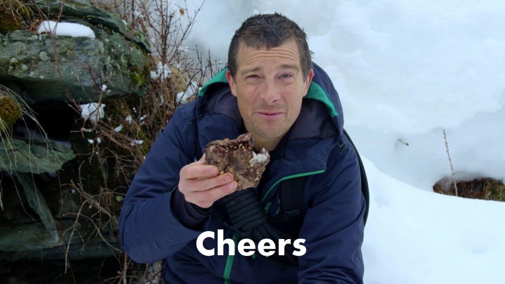 Bear grylls eats poo.jpg