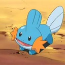 Mudkip_172