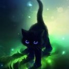 LuckyBlackCat