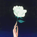 twistedbow