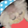 s3al
