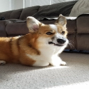 Leo_The_Potato