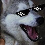 YoloMcWolf