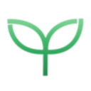 depressedfern