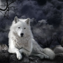 deitywolf