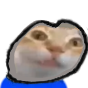 Kamv123