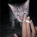 gin_230