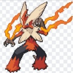 Zol