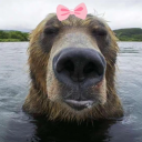 brunobear