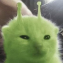 .leoboi
