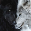 deitywolf