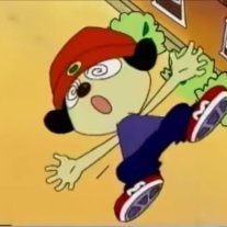 parappahaver