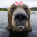 brunobear