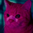 Adam.