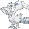 ThatOneReshiram