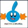 Rebel Mudkip